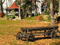 Sinaia parc Sinaia parc