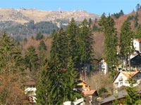 Sinaia - cota 1400 si cota 2000 Sinaia - cota 1400 si cota 2000