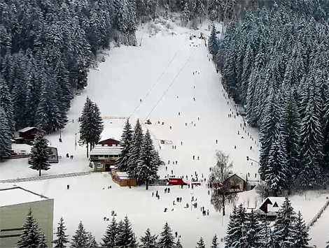 Poiana Brasov panorama live