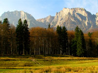 Vedere Busteni Vedere Busteni