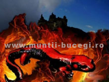Piatra Filosofală Piatra Filosofală